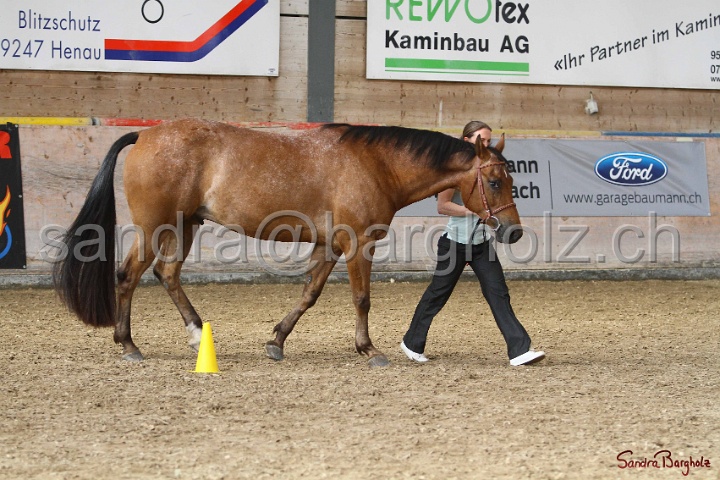 24-ApHC HIH_111.jpg